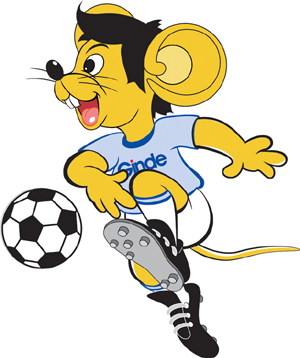 这种清晰的 这种清晰的