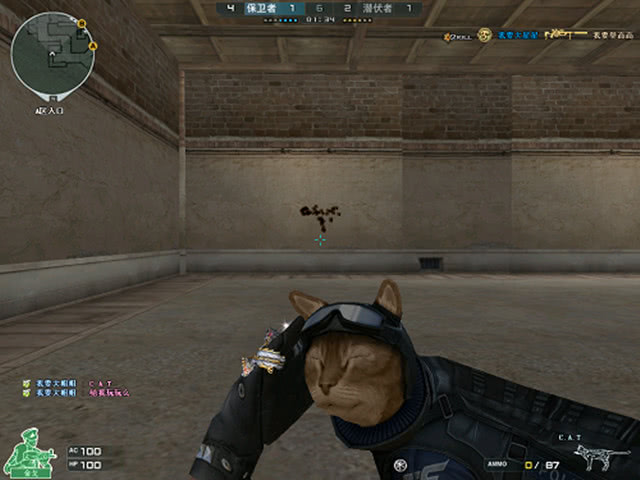 版本更新的 版本更新的