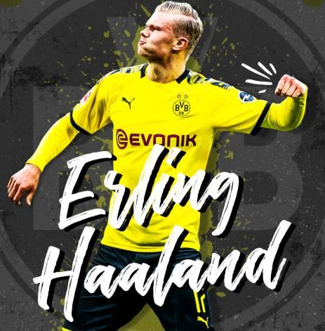 难以压价 难以压价