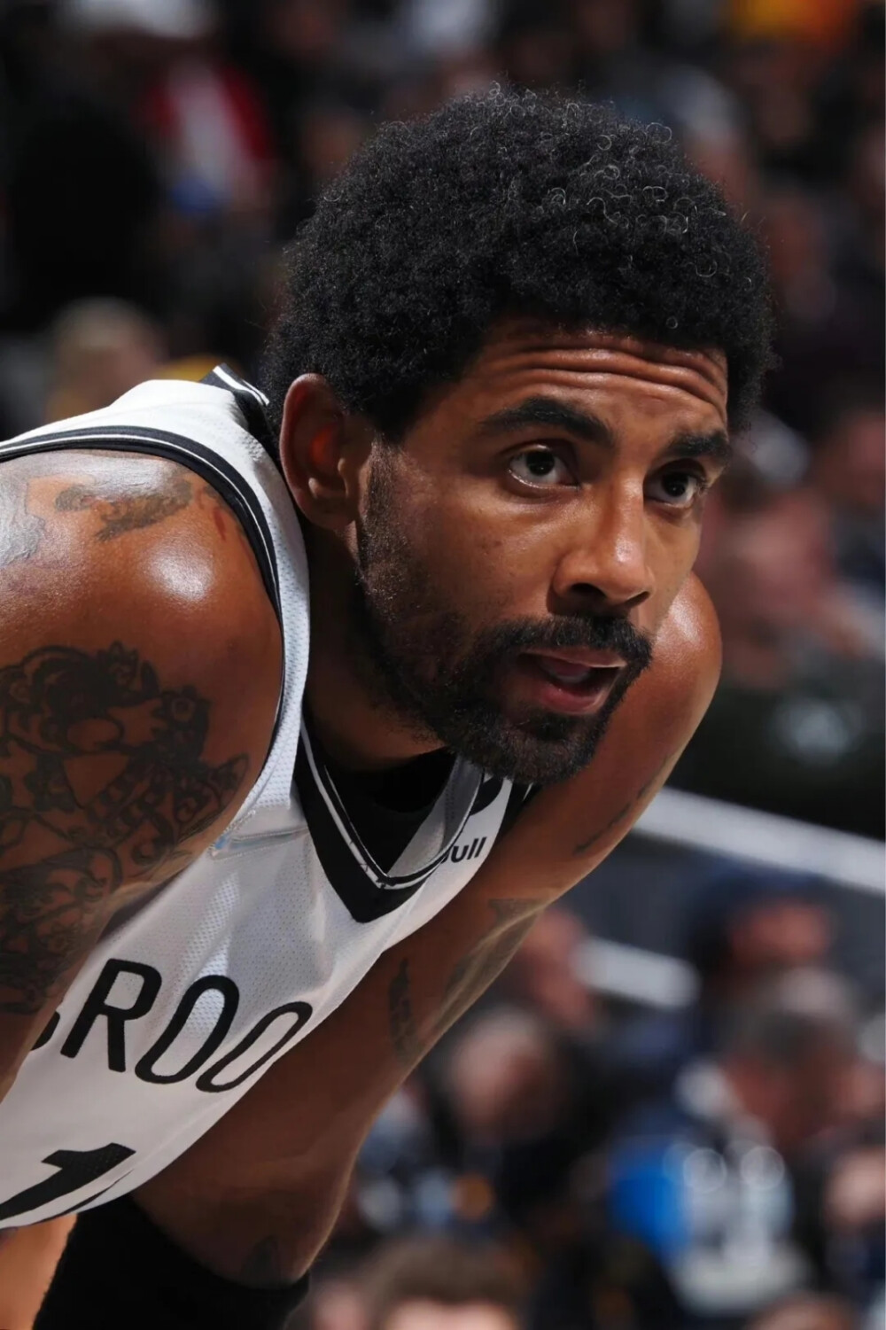 游客体验 游客体验